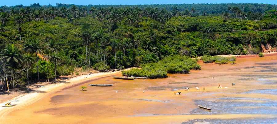 Guinea-Bissau image 