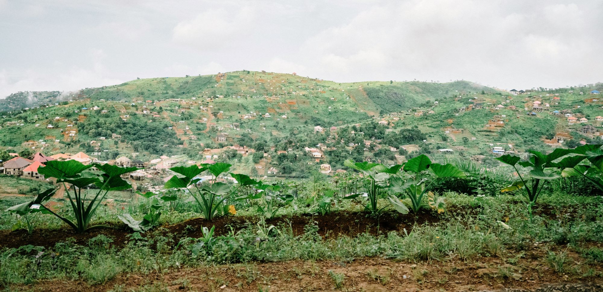 Sierra Leone