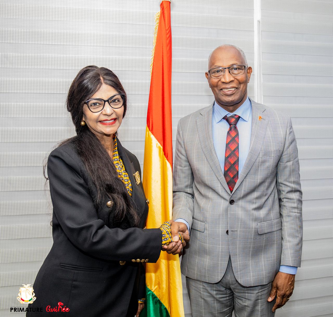 DG Meets Guinean Prime Minister